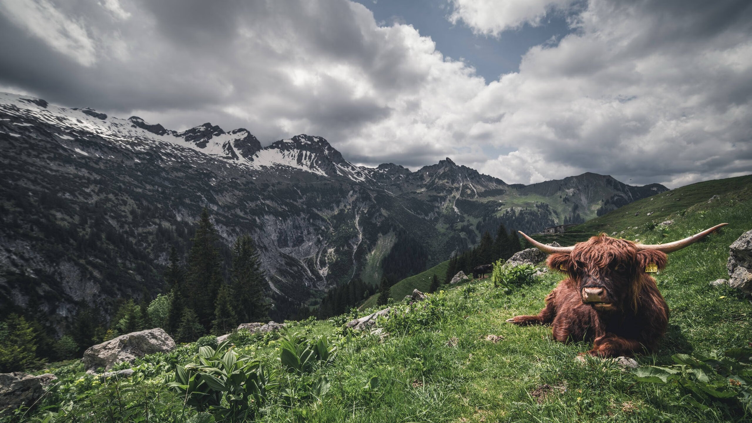 开云·体育全站登录地址-_历史性突破！运动员刷新纪录创下新高_，运动员破纪录有奖金吗
