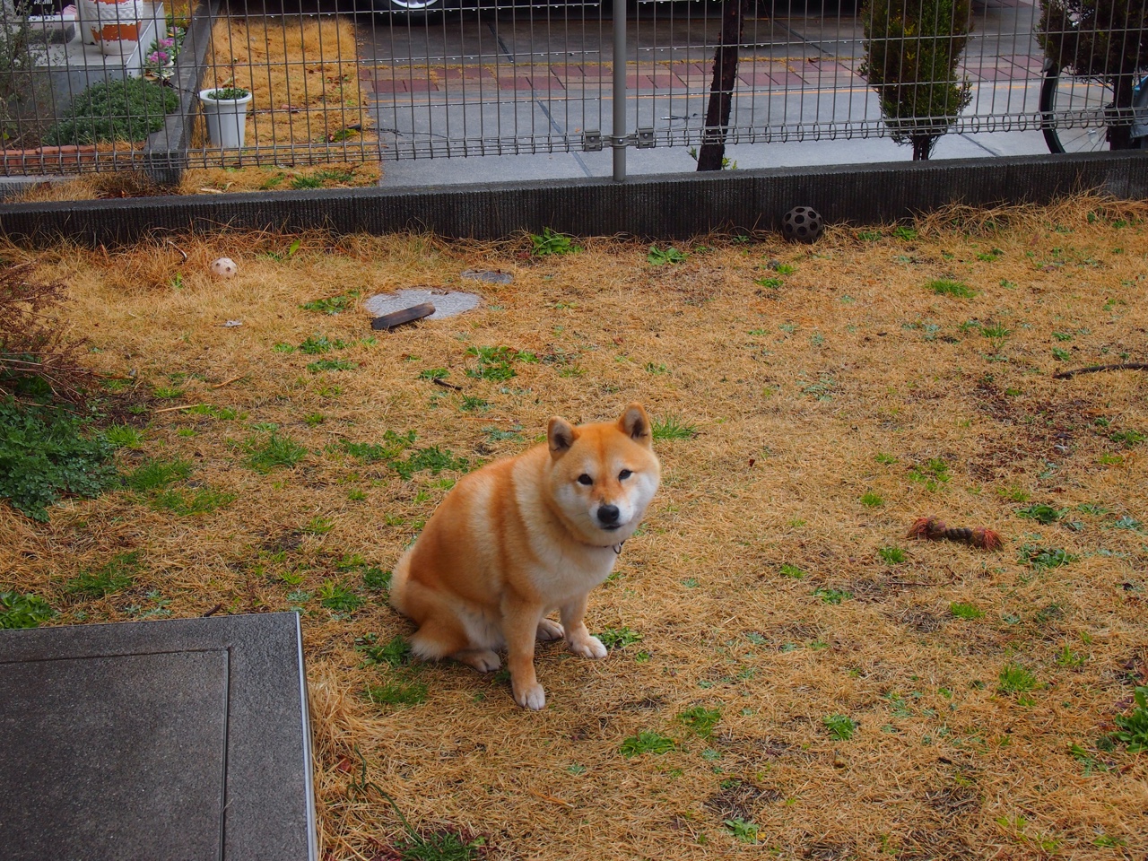 KAIYUNAPP-_传统体育节：文化与运动的交织盛典_，体育与文化节的意义