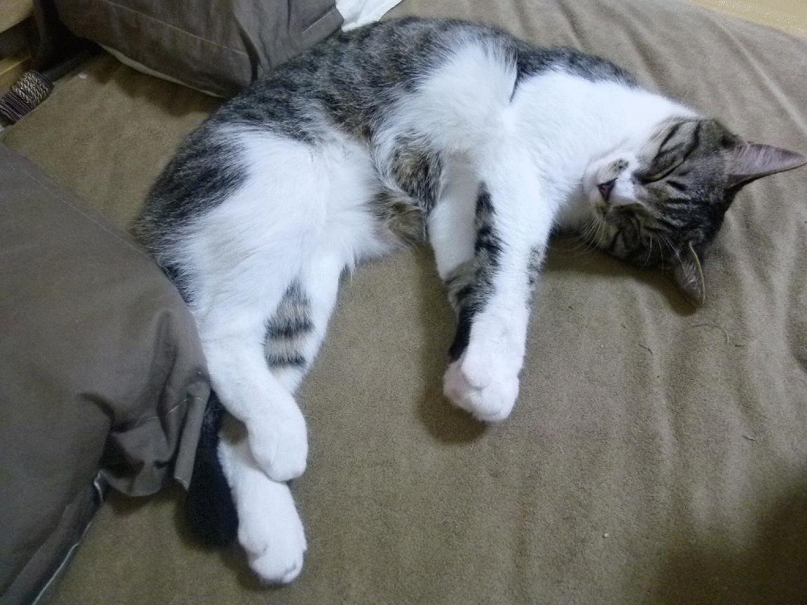 开云官网首页-_青少年网球比赛火热举行，未来之星竞逐光荣_，2020青少年网球比赛赛程有哪些