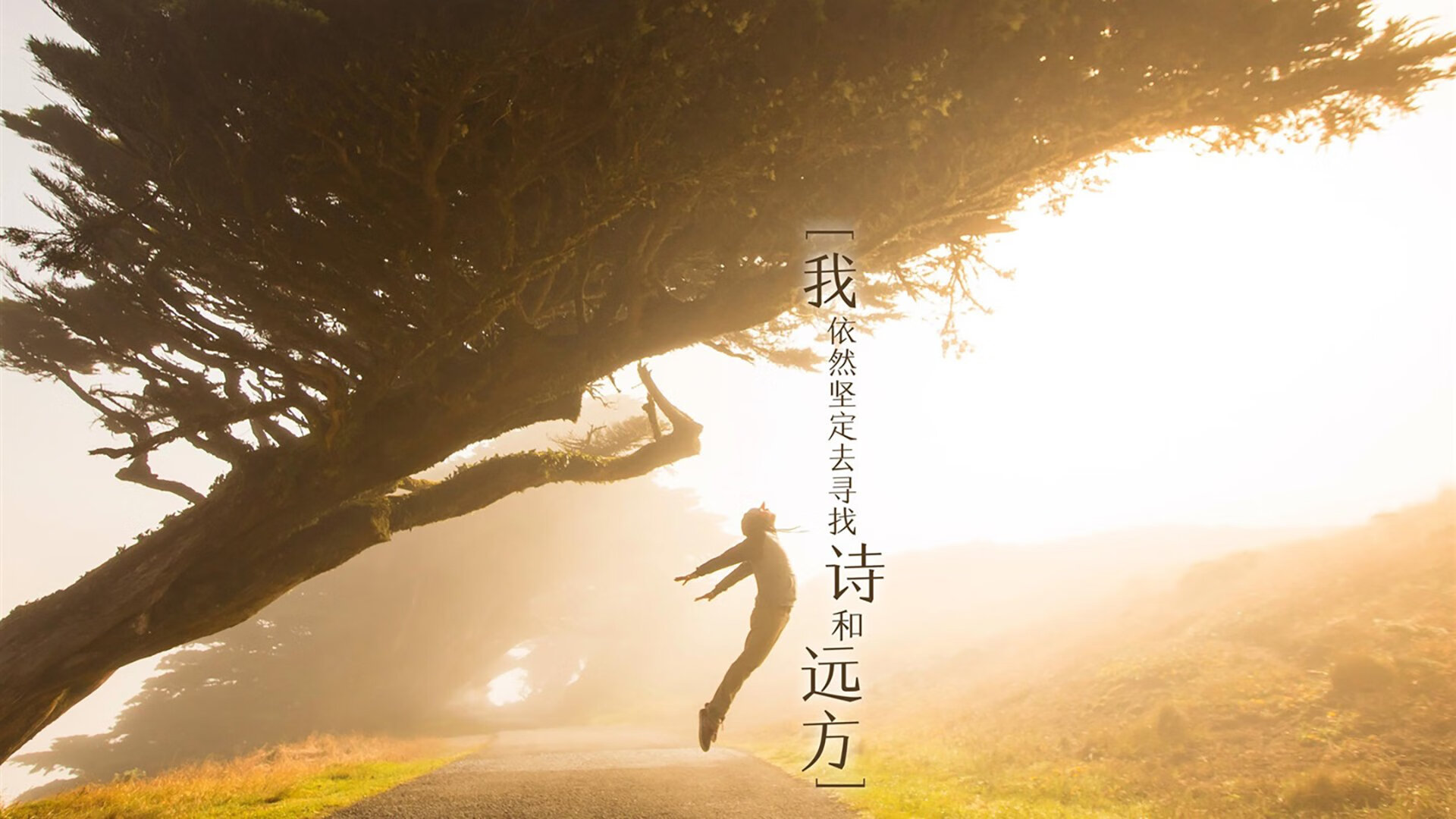 开云体育APP下载-“德甲战局紧张，争冠队伍你追我赶”，德甲锦集