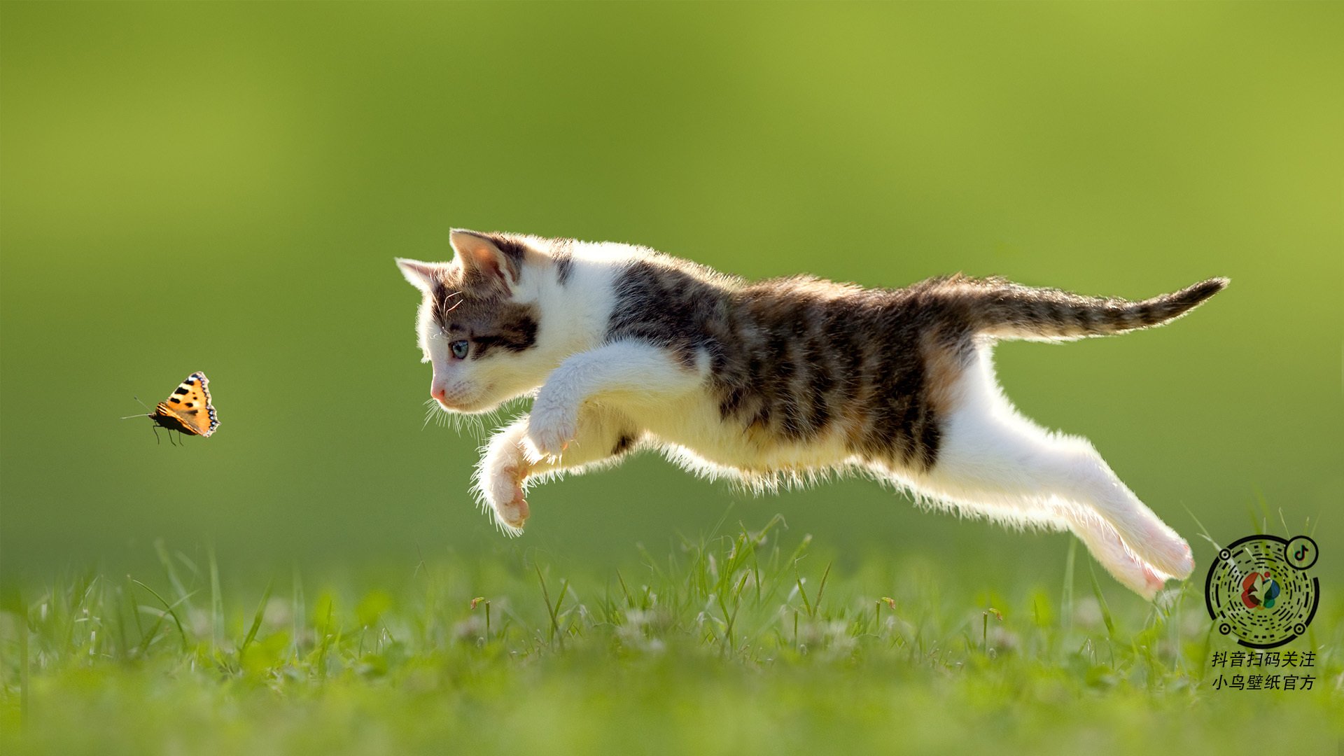 开云官方网站-“生死瞬间：赛场紧急救援背后的奇迹”，生死时速紧急救护纪录片