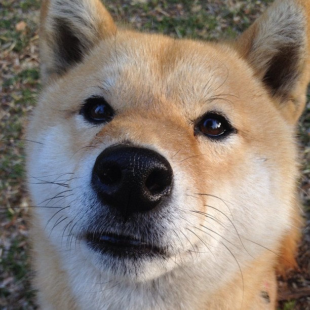 kaiyun开云·官方网站-“青训科技创新突破，用科技开启青少年足球新纪元”，青少年足球技术基础训练图解pdf