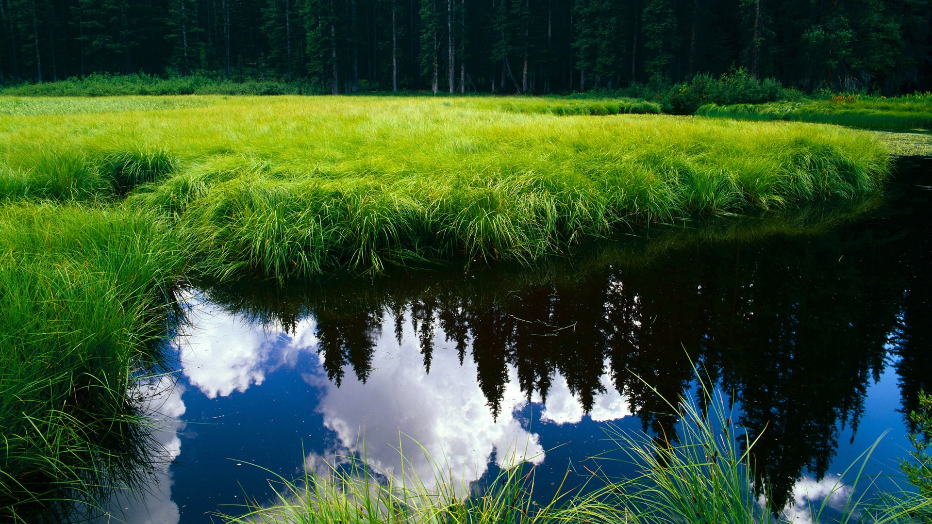 kaiyun.com-球迷留言：催促、鼓励、支持，情感无限，催促用语