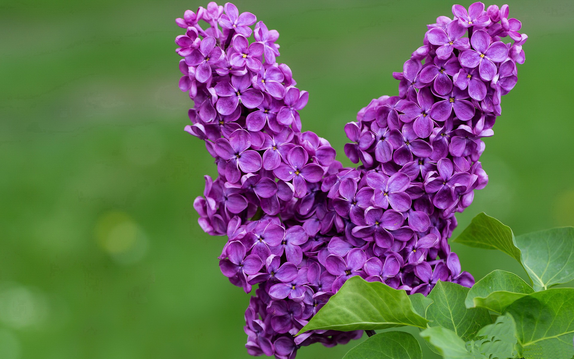 开云·体育官网APP下载-女足比赛项目举办盛大，全球关注焦点，女足比赛现场