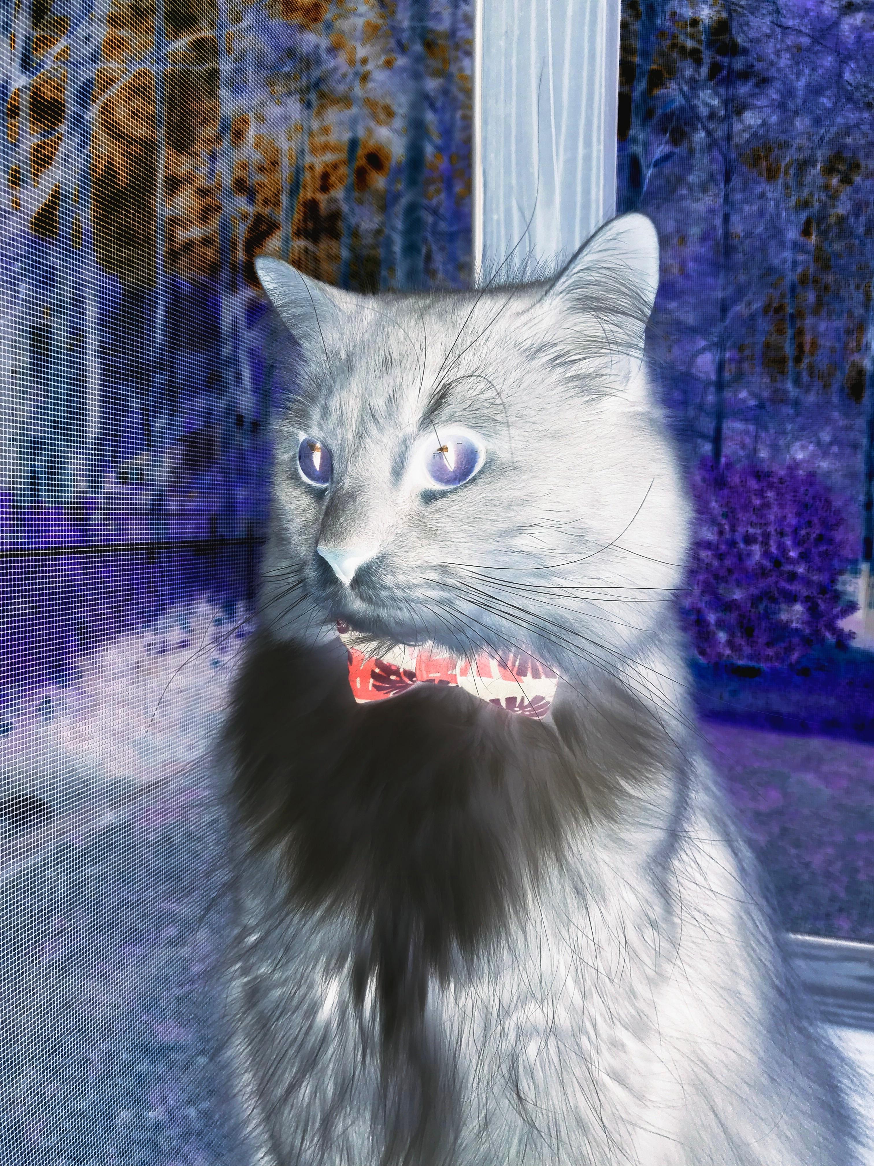 开云官方网站-红魔主场连胜欧国联对手，实力再获认可，红魔是什么球队