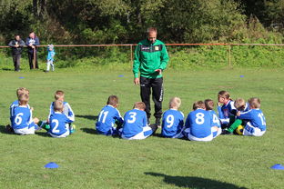 开云在线直播-中国篮球教练员战术创新能力培养及培训机制研究，全国篮球教练员岗位培训