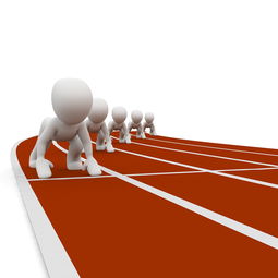 开云官网首页-中小学体育健康教育课程开发与实践，中小学体育与健康课程指导纲要