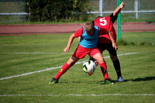 kaiyun官方入口登录-体育赛事志愿者管理及培训体系建设，体育赛事志愿者的工作要求