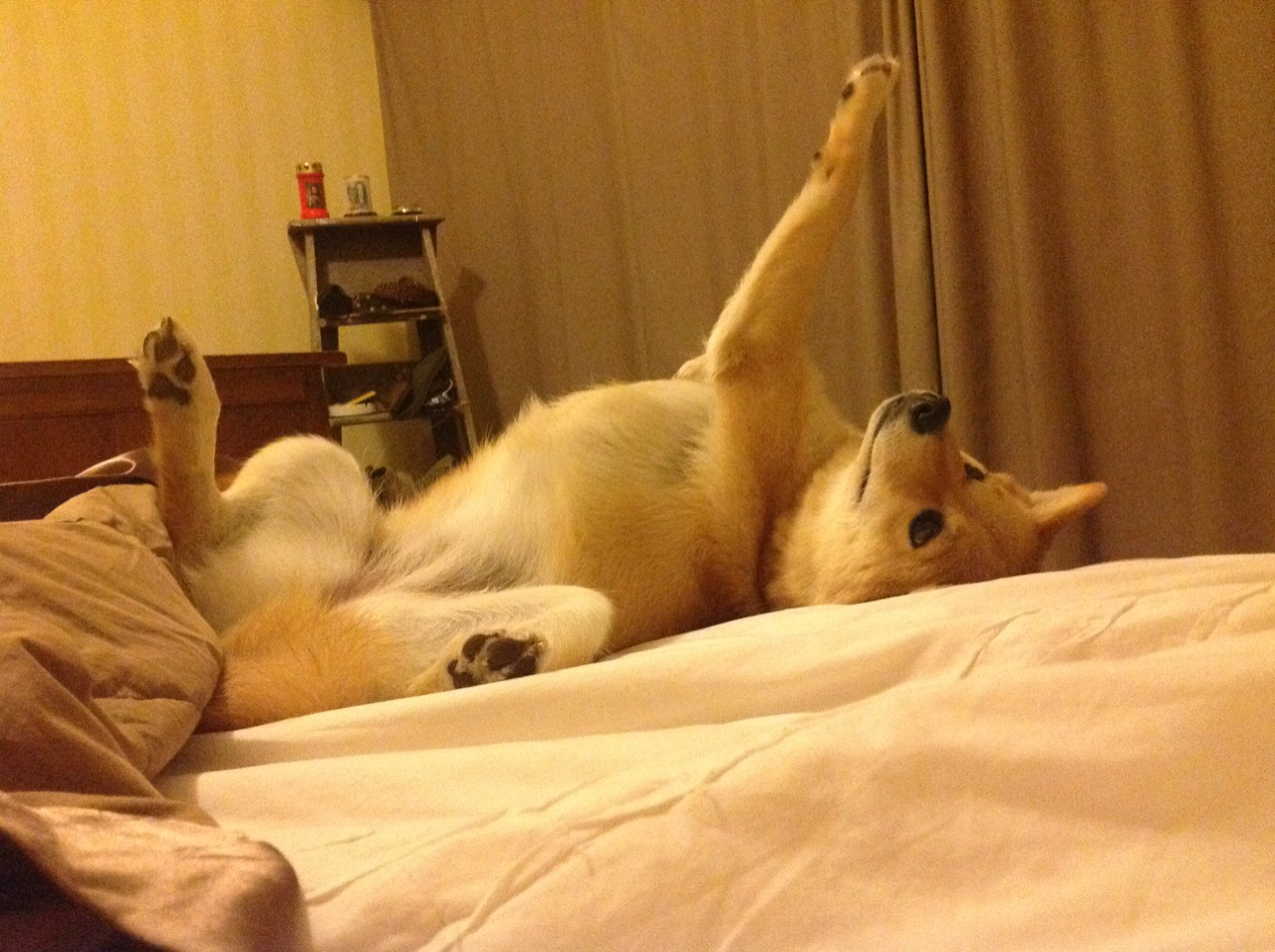 开云·体育官网APP下载-体育文化品牌塑造策略，体育品牌形象