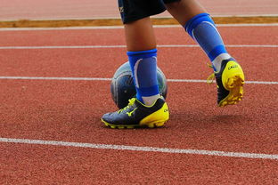 开云APP-未来潜力：年轻球员的崛起路径，年轻球员是中国足球未来发展的基础