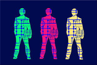 kaiyun体育综合-高校体育专业人才培养质量保障体系，体育人才培养方案心得体会