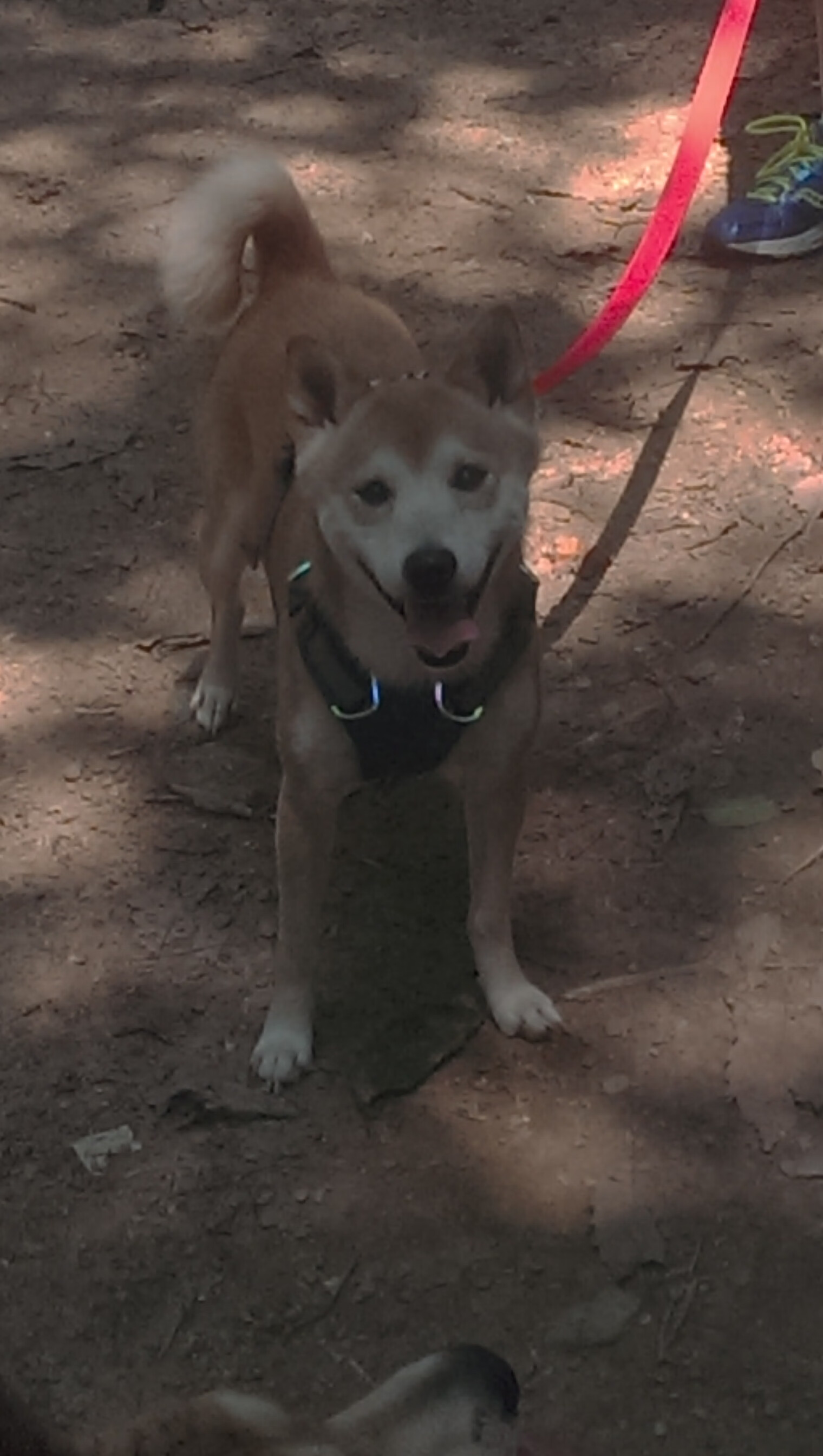 kaiyun中国官方网站-球员平均年龄下降新生代崛起势头明显，平均年龄最低的球队