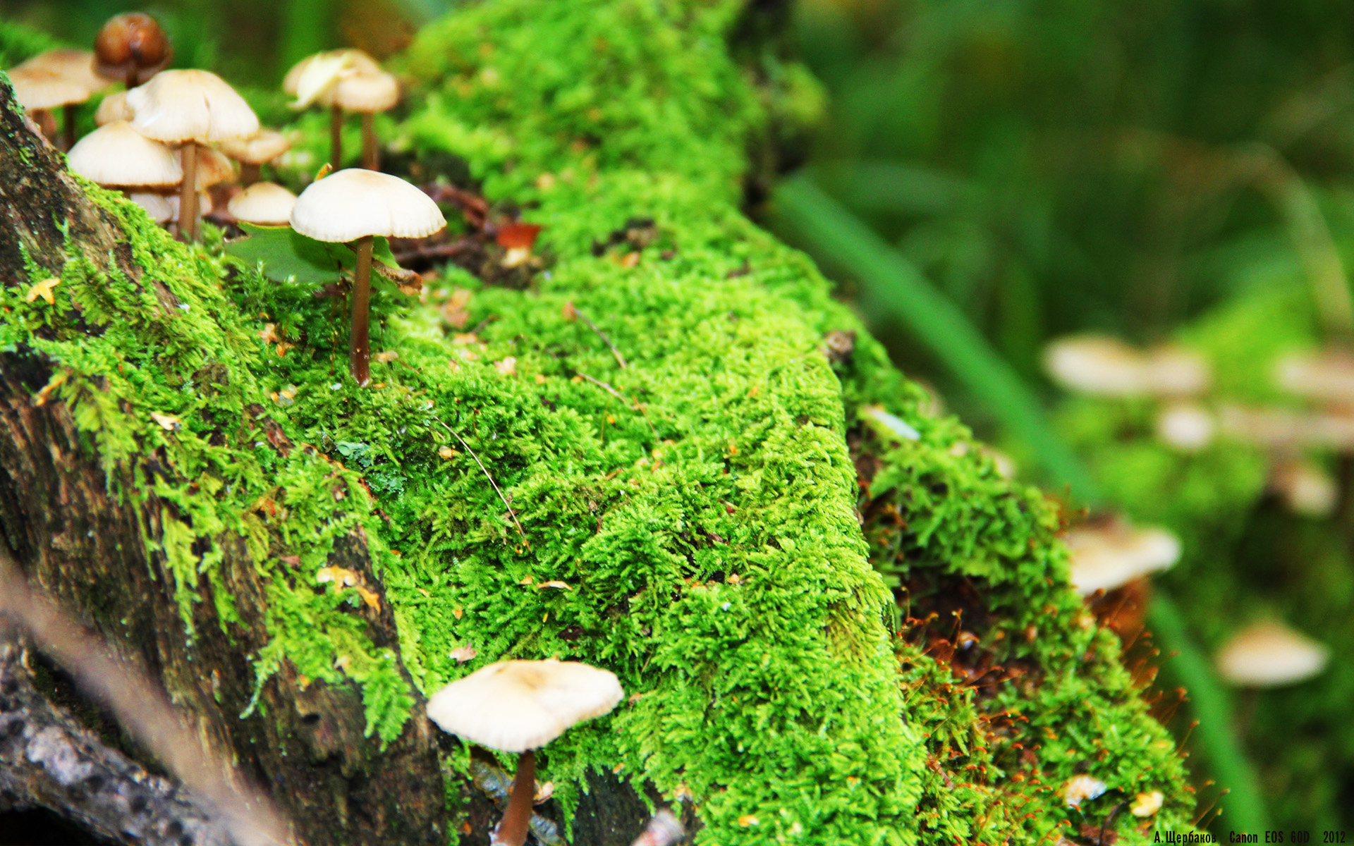 kaiyun开云·官方网站-C罗新赛季表现稳定仍为球队核心人物，c罗新造型