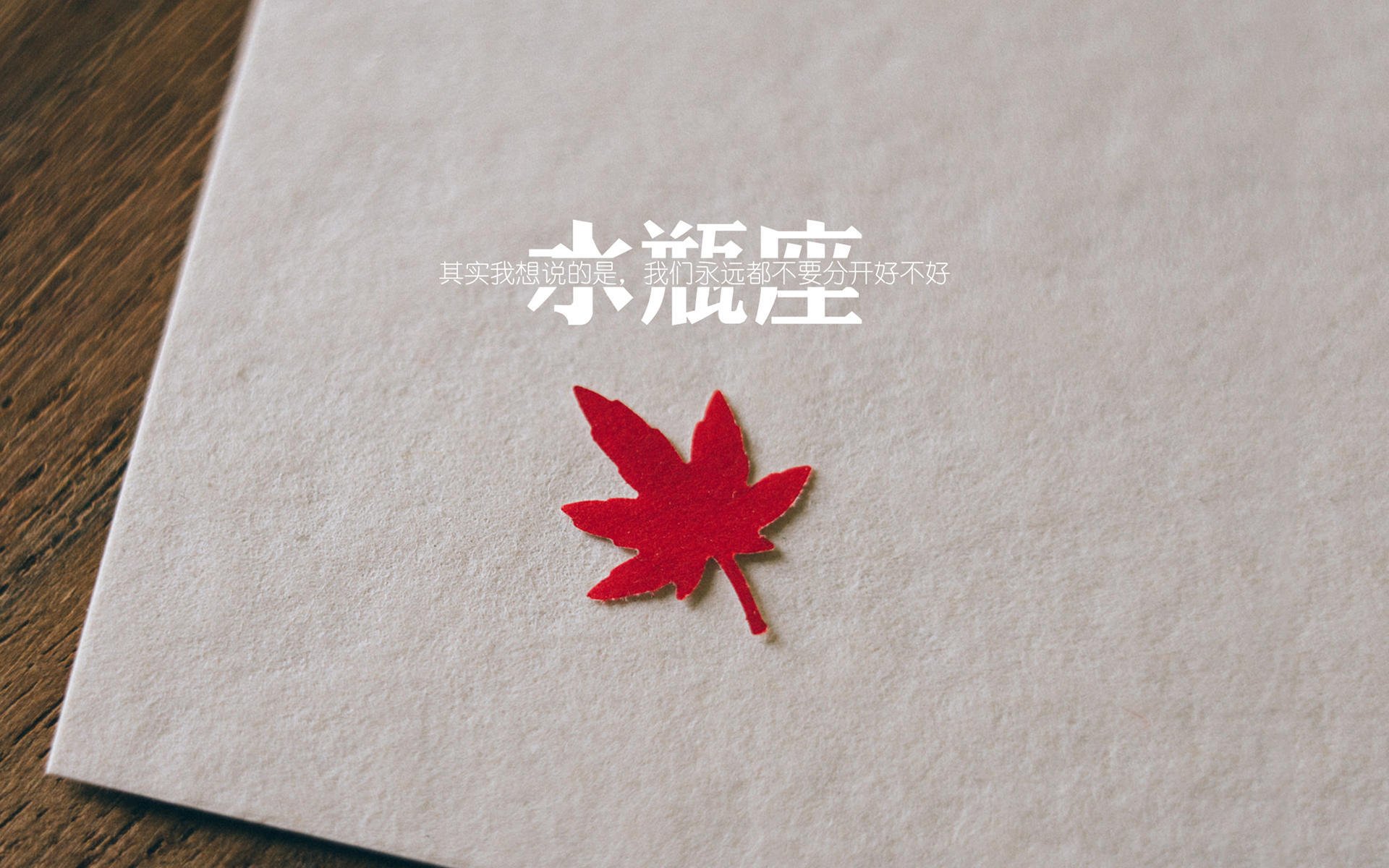 Kaiyun APP-凯蒂·莱德基赛后分享训练心得，凯蒂-莱德基