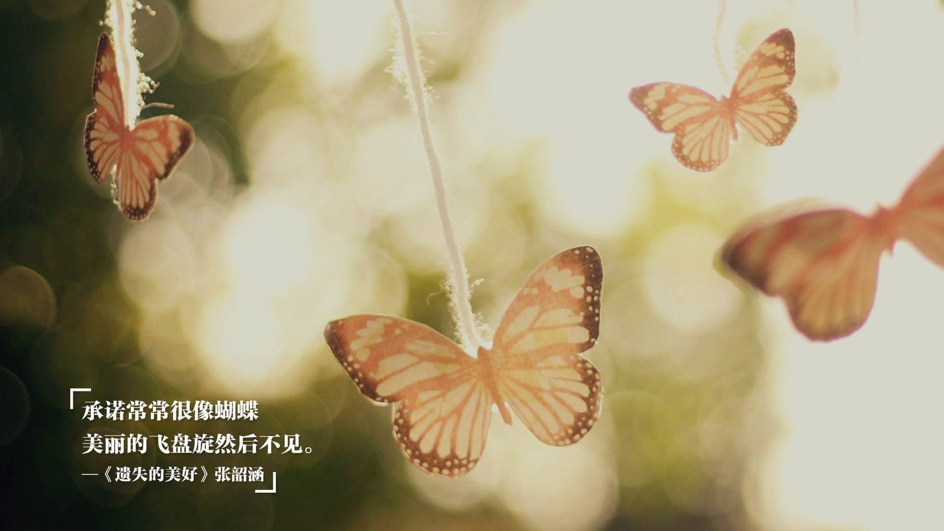 开云体育在线赛事直播-女子足球成绩突出但基础力量与支持体系需加强，女子足球队训练计划